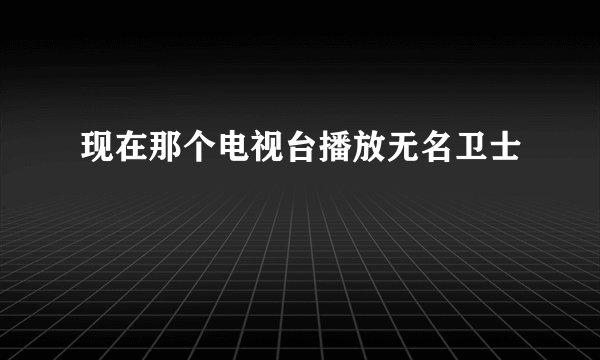 现在那个电视台播放无名卫士