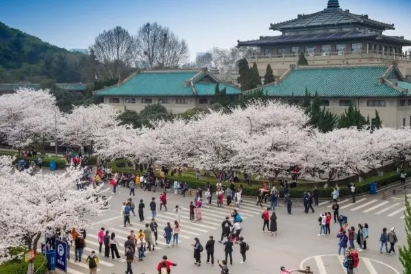 武汉大学为什么会一次性清退92名留学生？