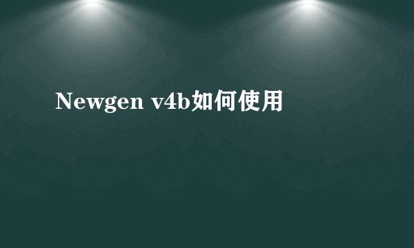 Newgen v4b如何使用