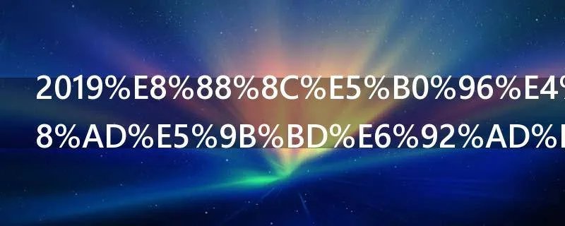2019舌尖上的中国播出时间