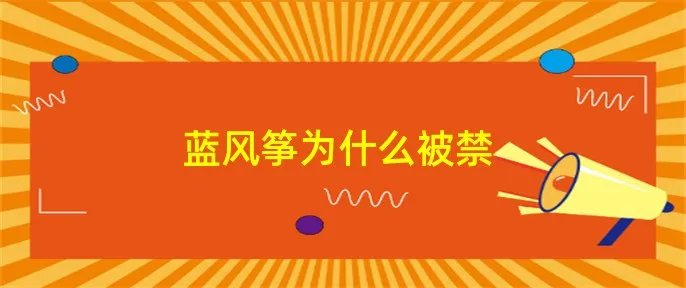 蓝风筝为什么被禁