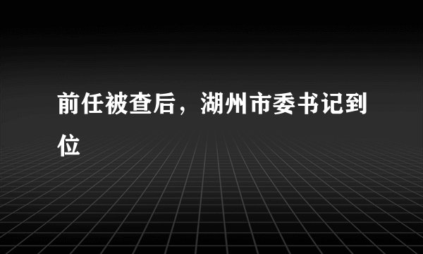 前任被查后，湖州市委书记到位