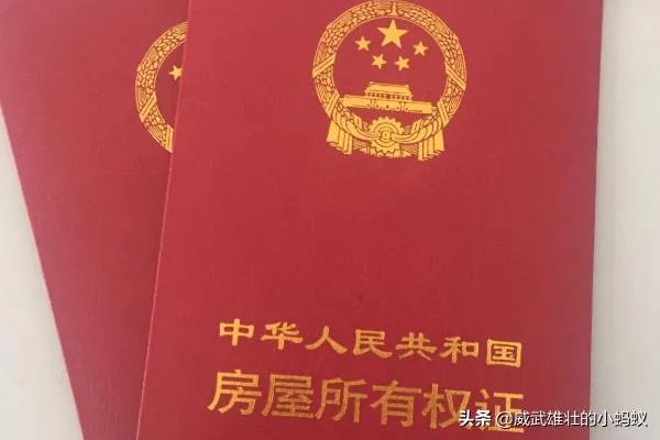 质押他项权利证书