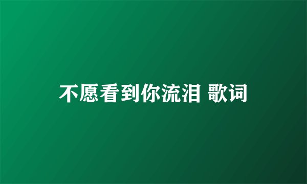 不愿看到你流泪 歌词