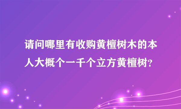 请问哪里有收购黄檀树木的本人大概个一千个立方黄檀树？