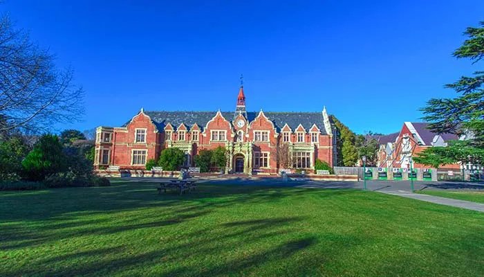 ppe是什么意思 ppe是什么