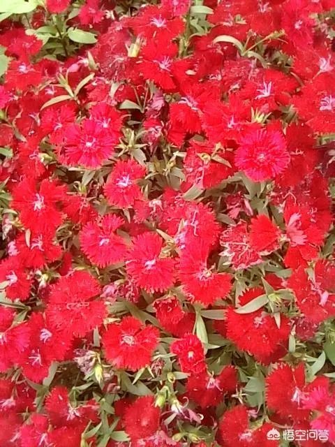 救援机构起诉温州“失联”男孩母亲，并索赔1元，对此你怎么看？