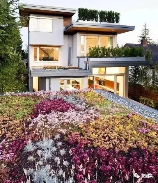 疫情还未结束，造园人在家能学哪些技能？