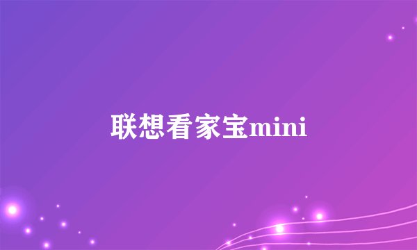 联想看家宝mini
