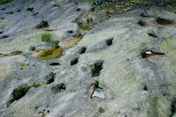 四川5岁男孩意外发现恐龙足迹，他是怎样发现的？