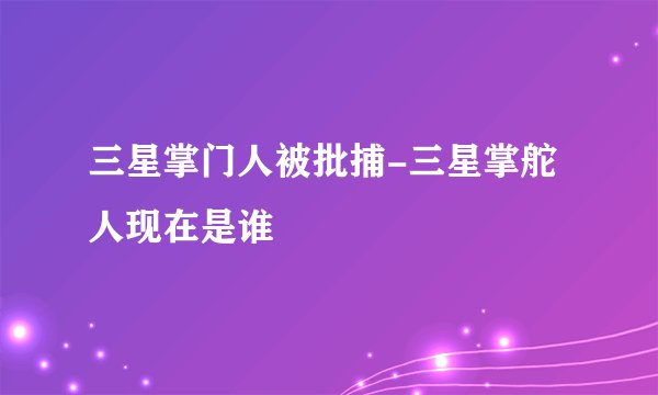 三星掌门人被批捕-三星掌舵人现在是谁
