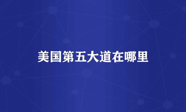 美国第五大道在哪里