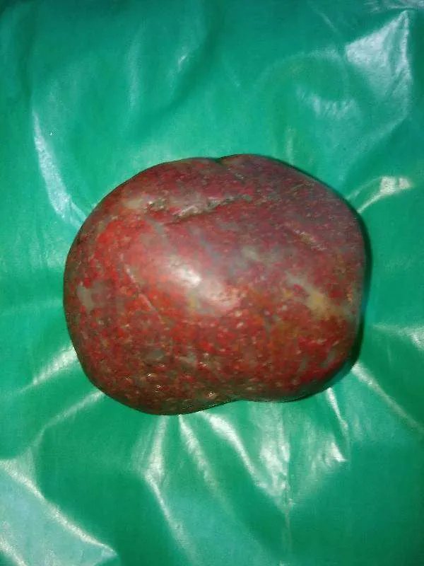 这块鸡血石籽料，大家觉得如何？