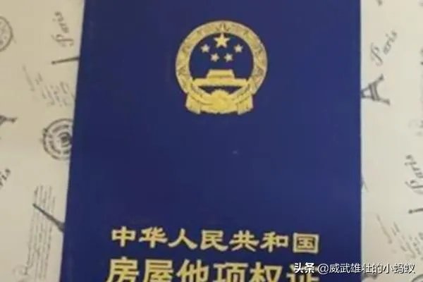 质押他项权利证书