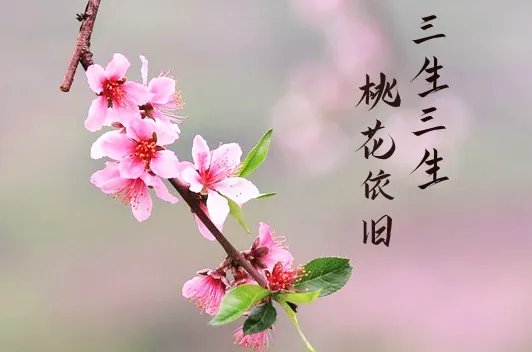 依旧的拼音是什么