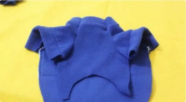 狗狗的衣服图片大全图片