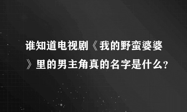 谁知道电视剧《我的野蛮婆婆》里的男主角真的名字是什么？