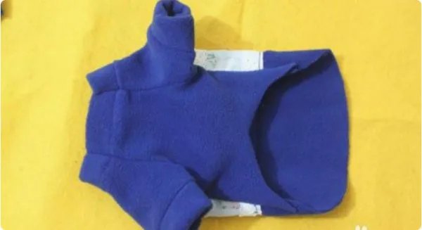 狗狗的衣服图片大全图片