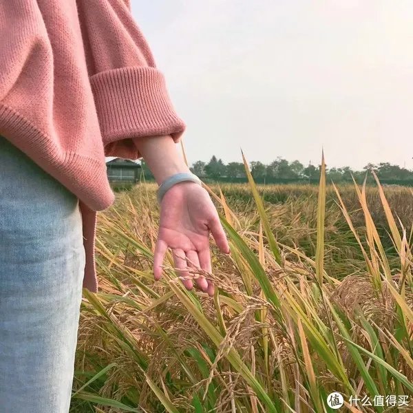 #淘宝有好店#偷偷告诉你，那些不为人知的秘密好店