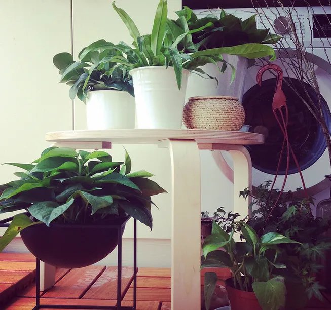 塞纳春天告诉你墙面该怎么装修