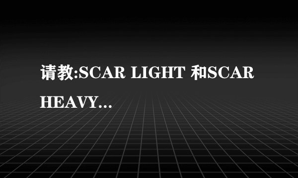 请教:SCAR LIGHT 和SCAR HEAVY有神马区别?哪个更好用???