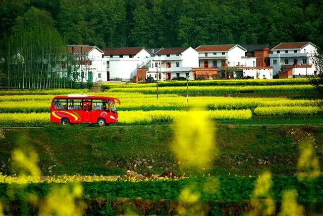 什么是村村通？