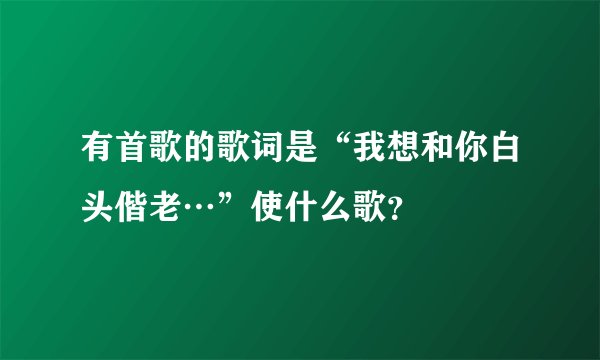 有首歌的歌词是“我想和你白头偕老…”使什么歌？