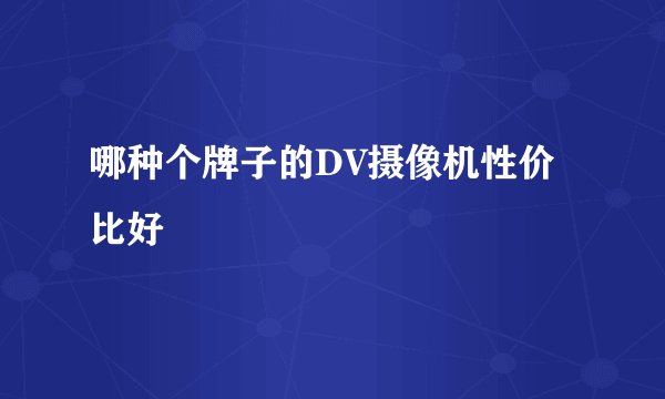 哪种个牌子的DV摄像机性价比好