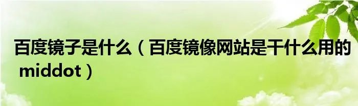 百度镜子是什么（百度镜像网站是干什么用的 middot）