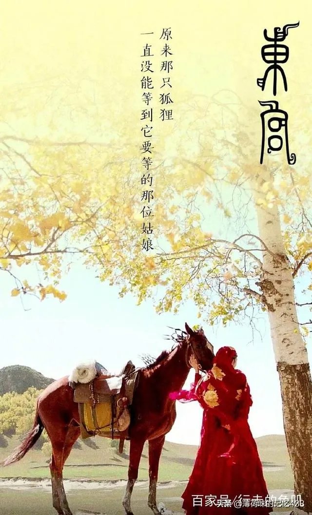 那种看哭的剧有哪些推荐?