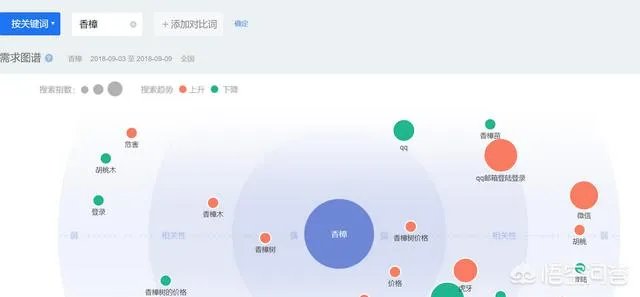 怎么在网上买到真苗木