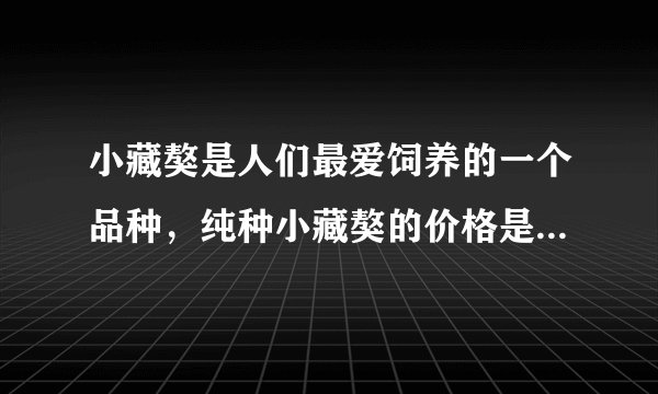 小藏獒是人们最爱饲养的一个品种，纯种小藏獒的价格是多少呢？