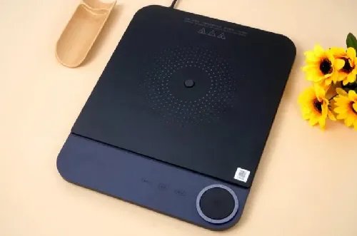 电磁炉十大公认品牌排行榜有哪些