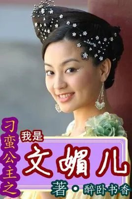 刁蛮公主之我是文媚儿的我是文媚儿