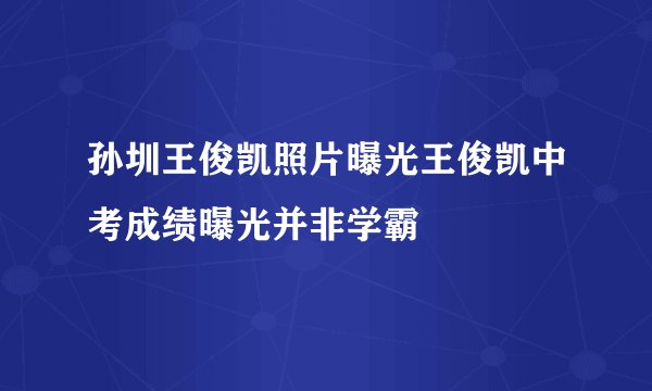 孙圳王俊凯照片曝光王俊凯中考成绩曝光并非学霸