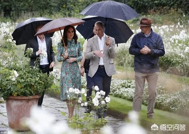 威廉和哈里两位王子和卡米拉的关系怎样？