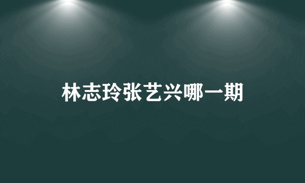 林志玲张艺兴哪一期
