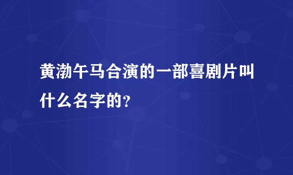 黄渤午马合演的一部喜剧片叫什么名字的？