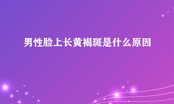 男性脸上长黄褐斑是什么原因