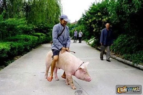 藏品在家不拿出去能私下交易吗?怎样才能把藏品卖出去？