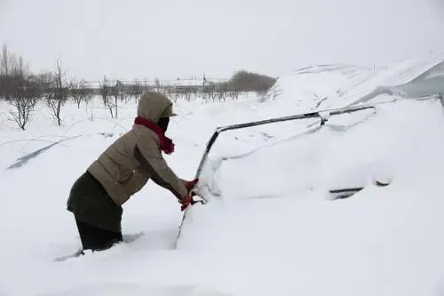 通辽市民早起发现一楼“消失”，当地的这场大雪下的究竟有多大？