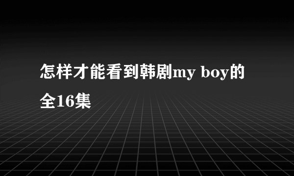 怎样才能看到韩剧my boy的全16集
