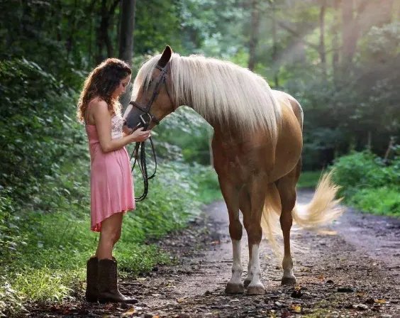 90年属什么的生肖