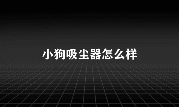 小狗吸尘器怎么样