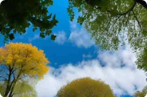 wsctf.exe是什么进程 好奇怪 会不会是病毒呢