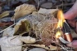 如何野外求生? 技巧经验?