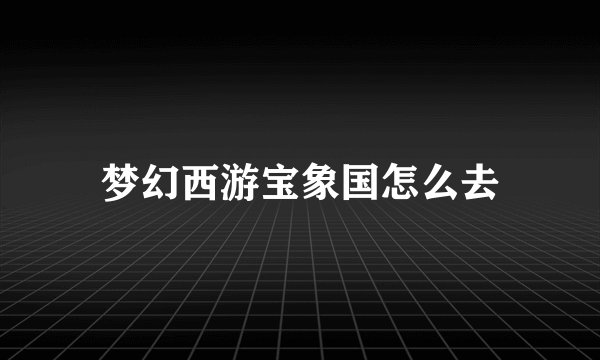 梦幻西游宝象国怎么去