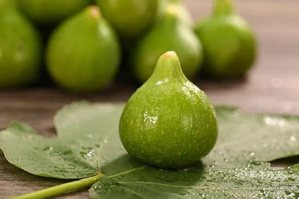 肺癌患者吃什么最好