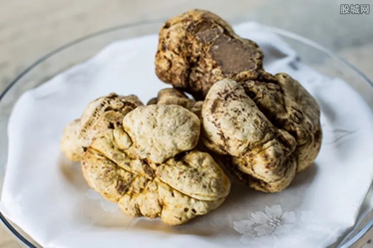 白松露价格 白松露价格为什么那么贵？