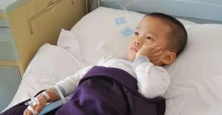 詹享臻的血液、骨髓配型资料